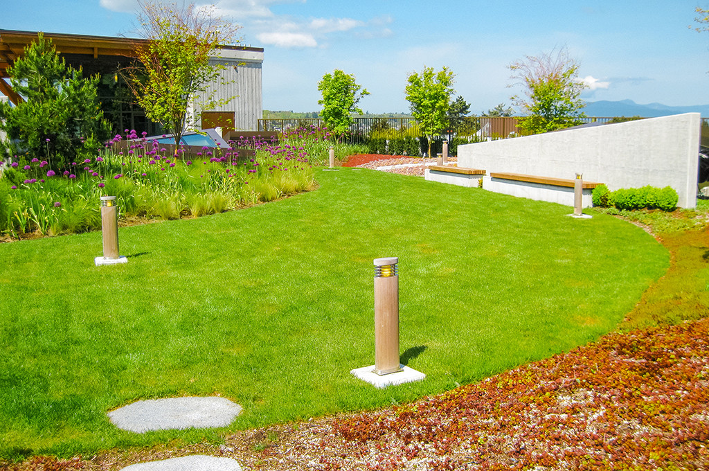 Green roof system installed by Isidore Landscapes