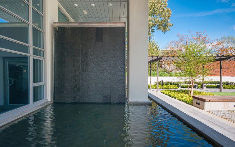 Low voltage landscape lighting illuminating garden at night