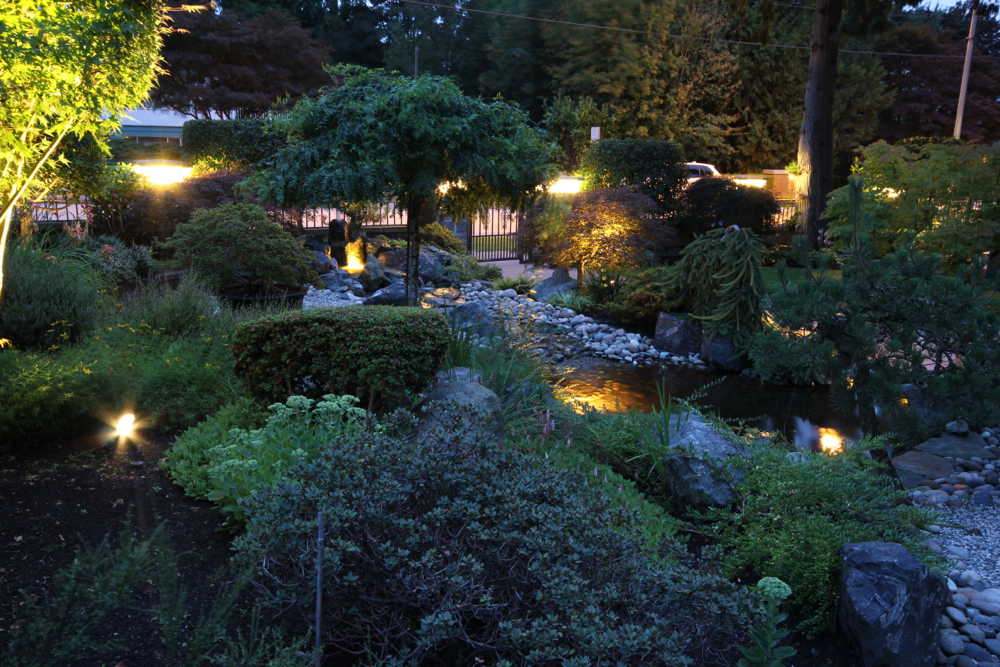 Low voltage landscape lighting illuminating a garden at night